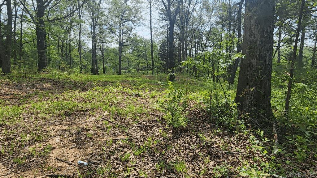 32  Red Oak Rd  Story, AR