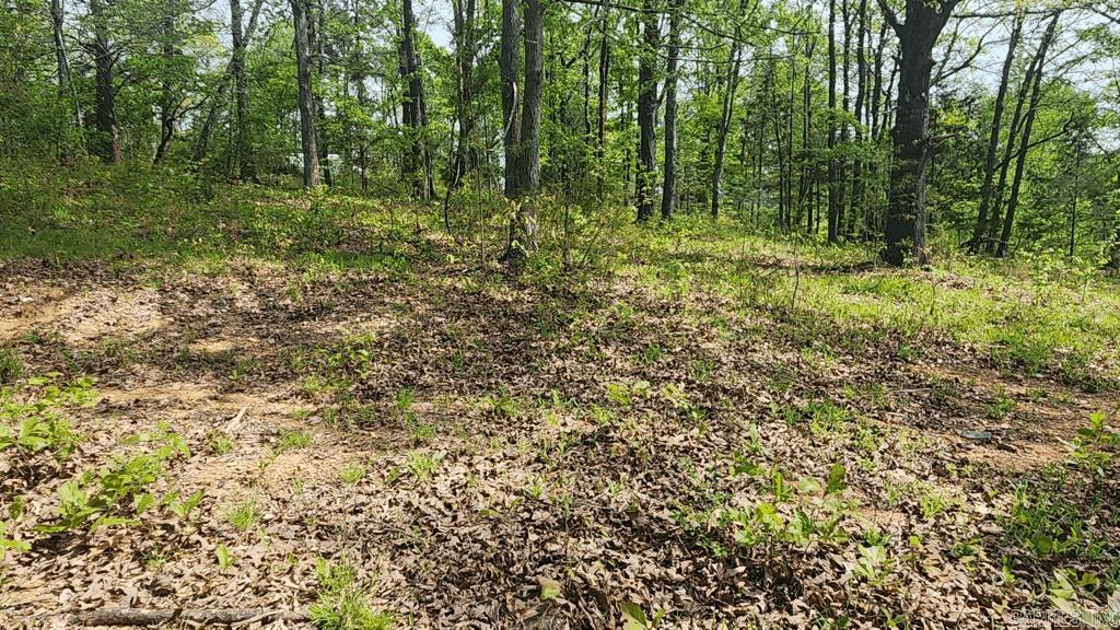 32  Red Oak Rd  Story, AR