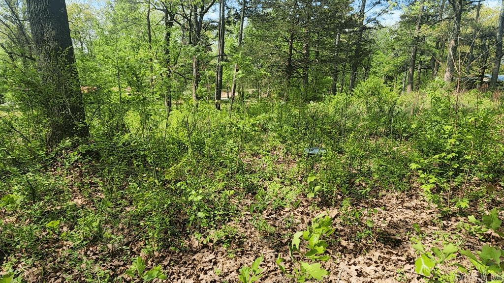 32  Red Oak Rd  Story, AR