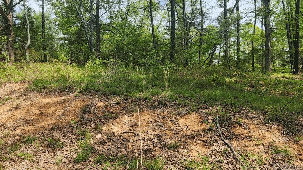 32  Red Oak Rd  Story, AR