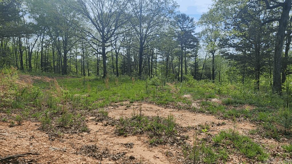 32  Red Oak Rd  Story, AR