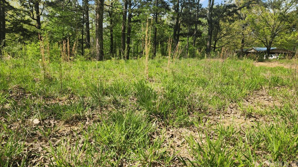 32  Red Oak Rd  Story, AR