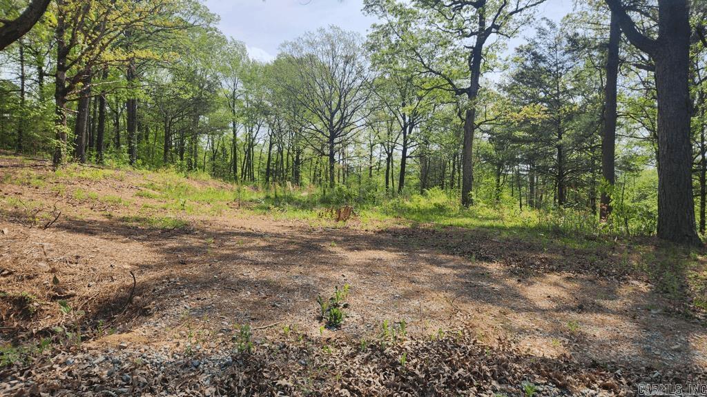 32  Red Oak Rd  Story, AR