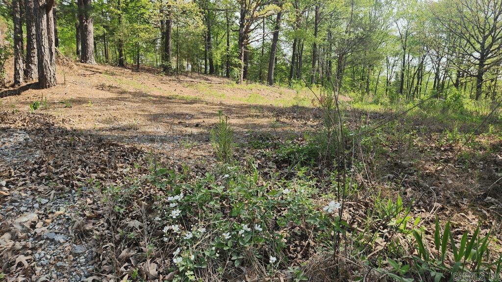 32  Red Oak Rd  Story, AR