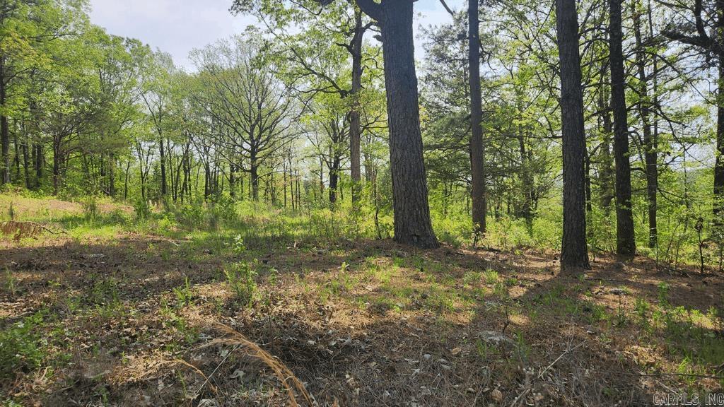 32  Red Oak Rd  Story, AR