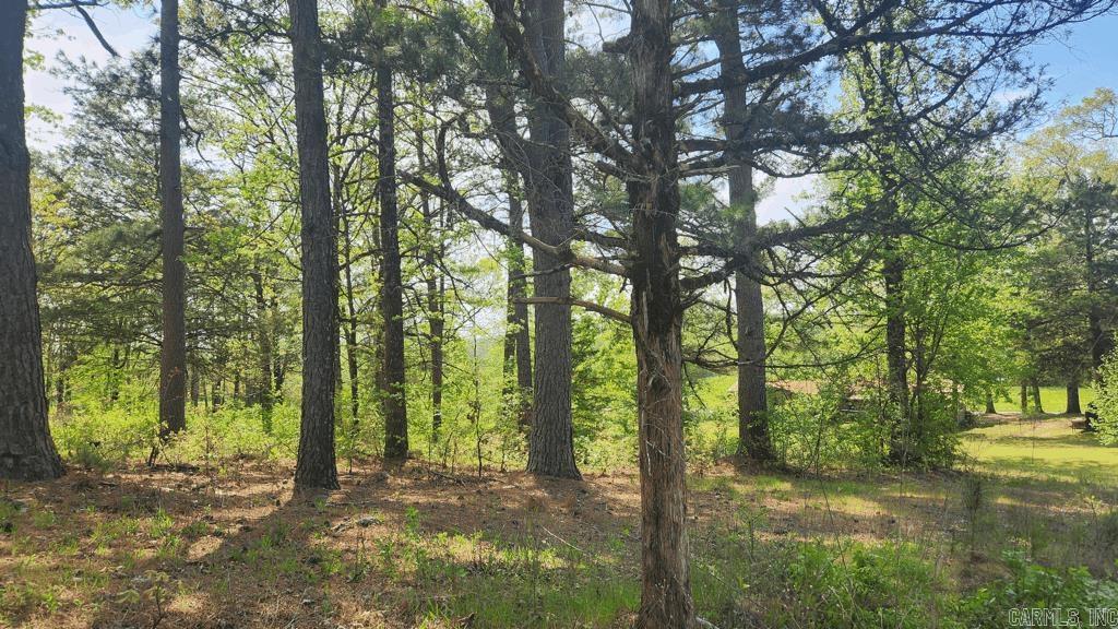 32  Red Oak Rd  Story, AR