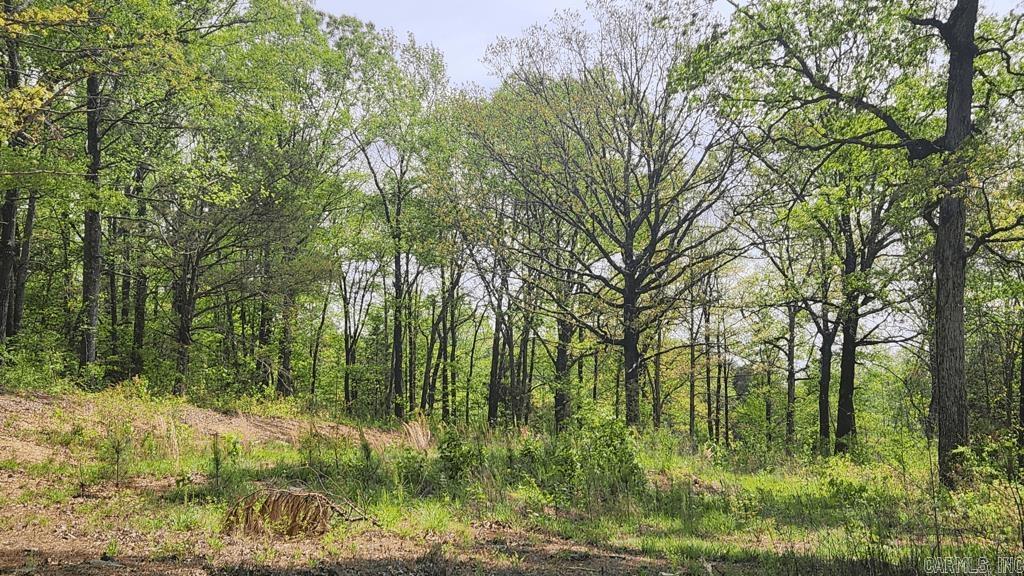 32  Red Oak Rd  Story, AR