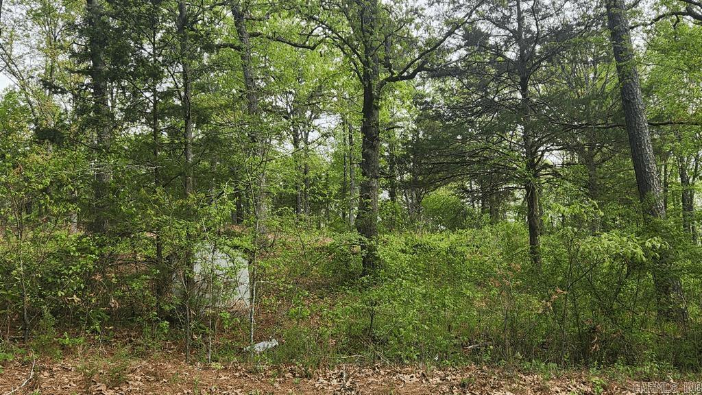 32  Red Oak Rd  Story, AR