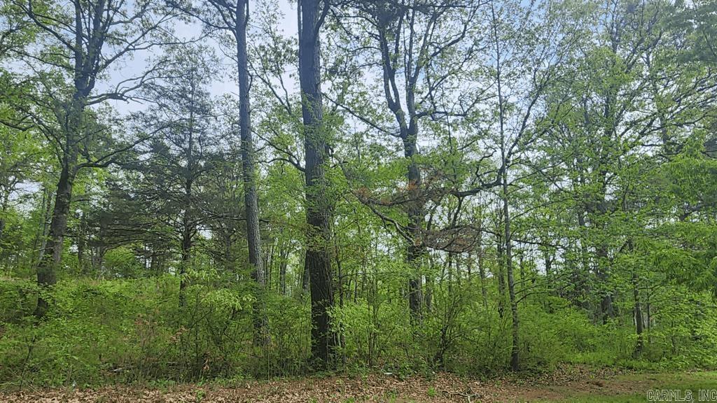 32  Red Oak Rd  Story, AR