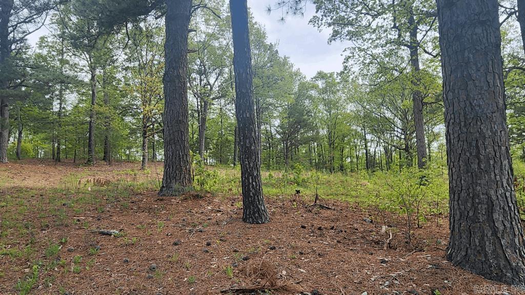 32  Red Oak Rd  Story, AR