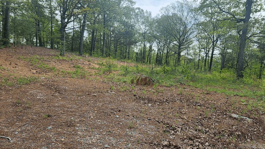 32  Red Oak Rd  Story, AR