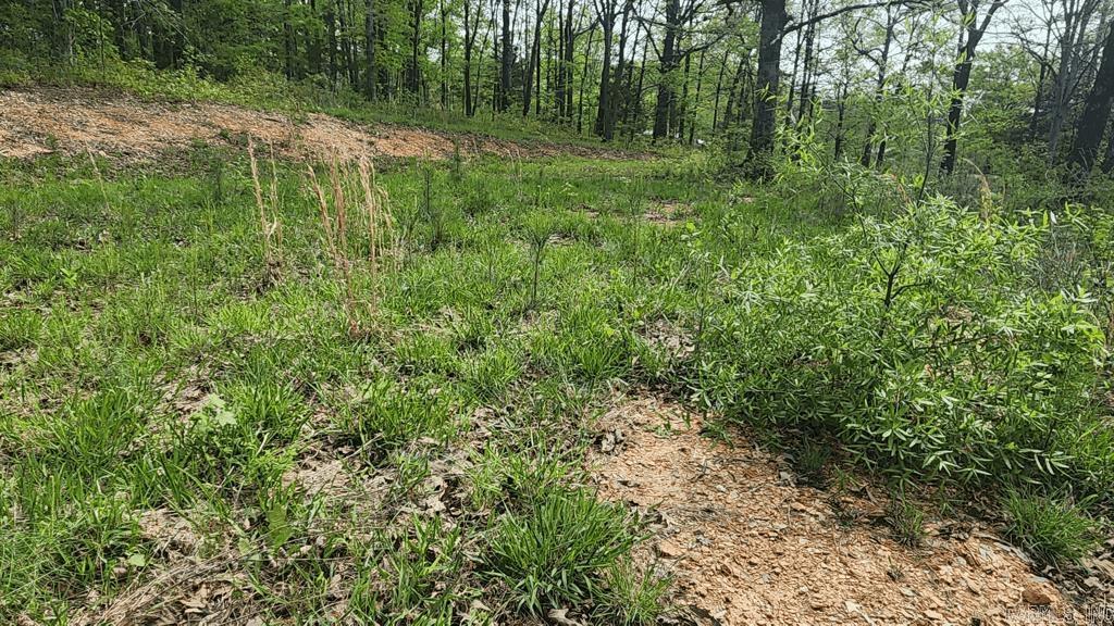 32  Red Oak Rd  Story, AR