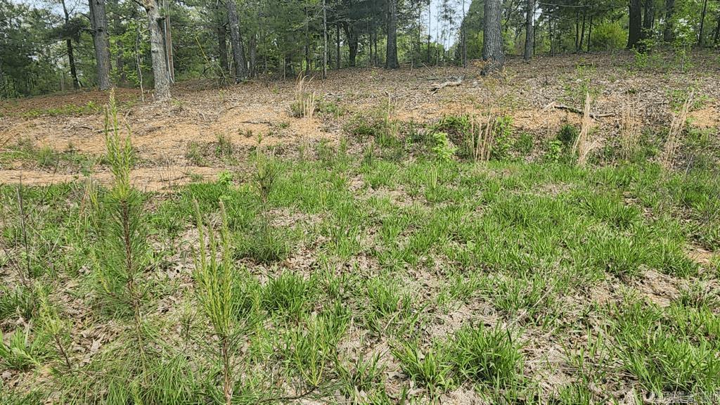 32  Red Oak Rd  Story, AR