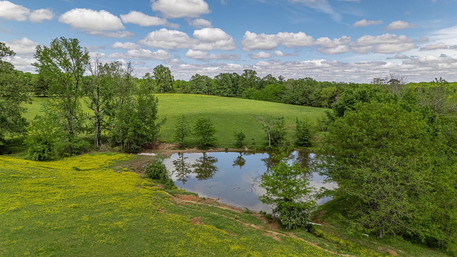 180  Acres +/-  Harrisburg, AR