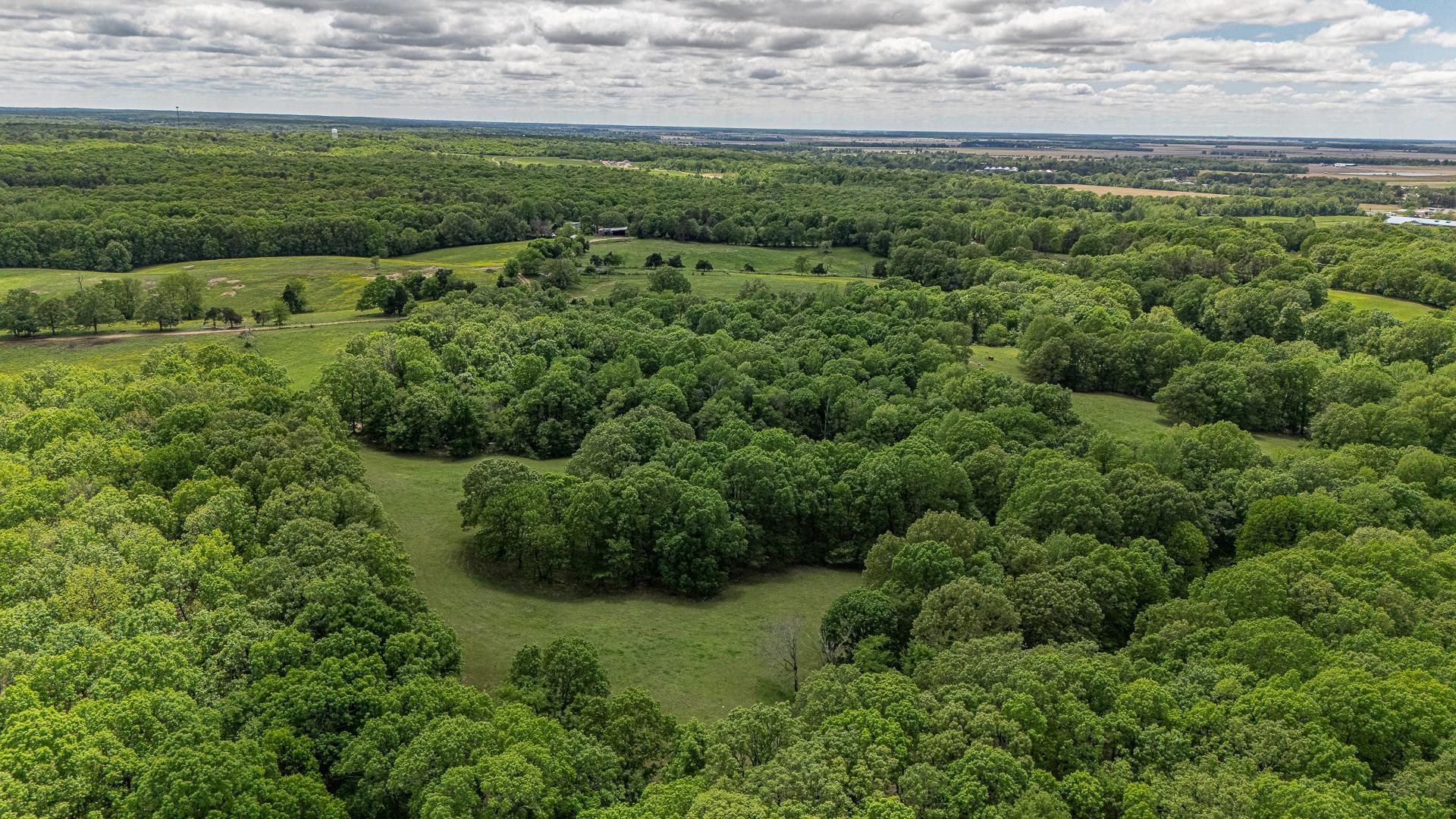 180  Acres +/-  Harrisburg, AR