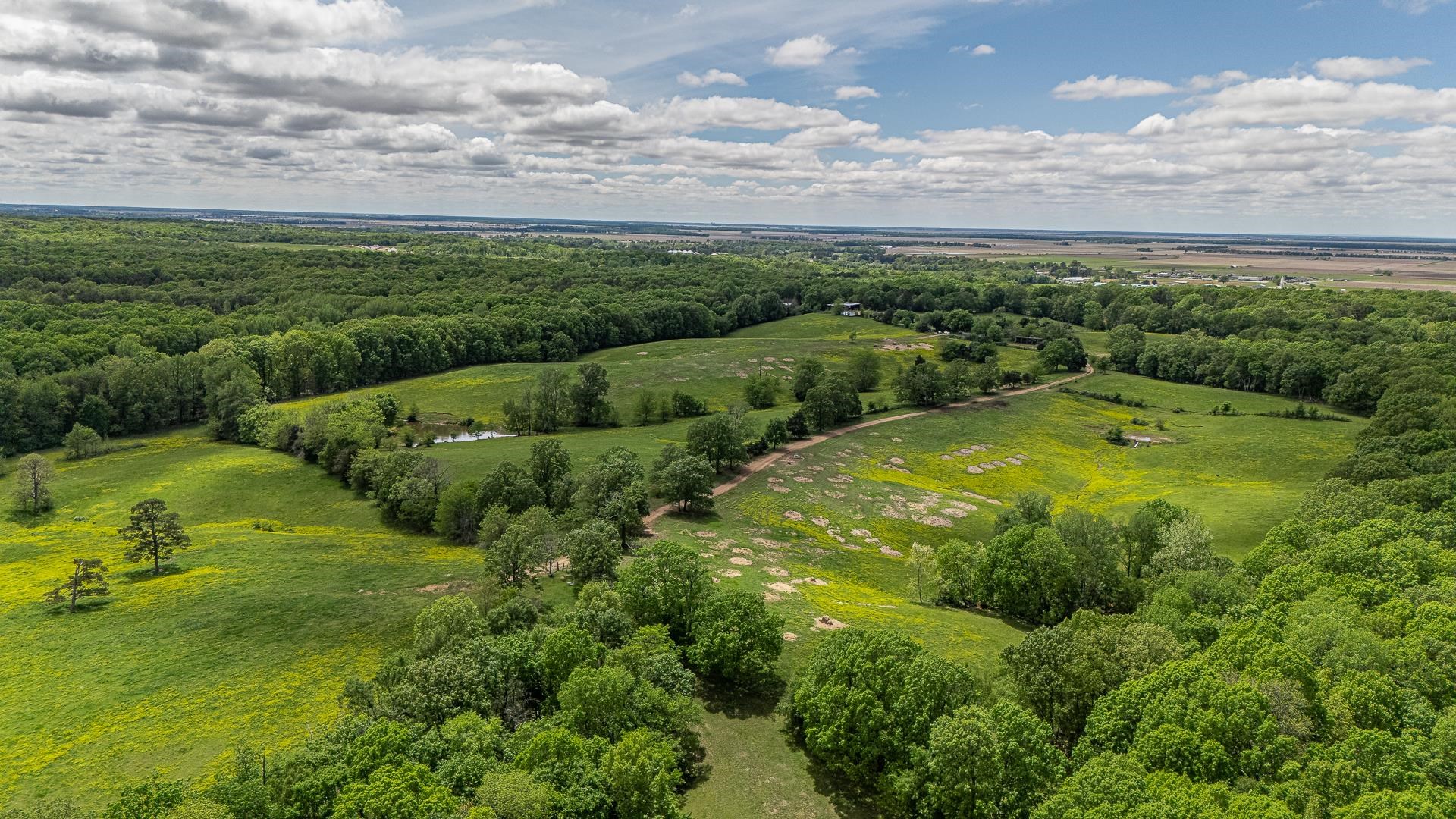 180  Acres +/-  Harrisburg, AR