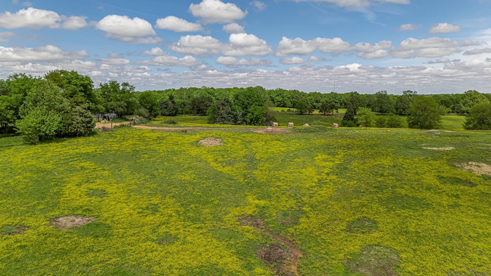 180  Acres +/-  Harrisburg, AR
