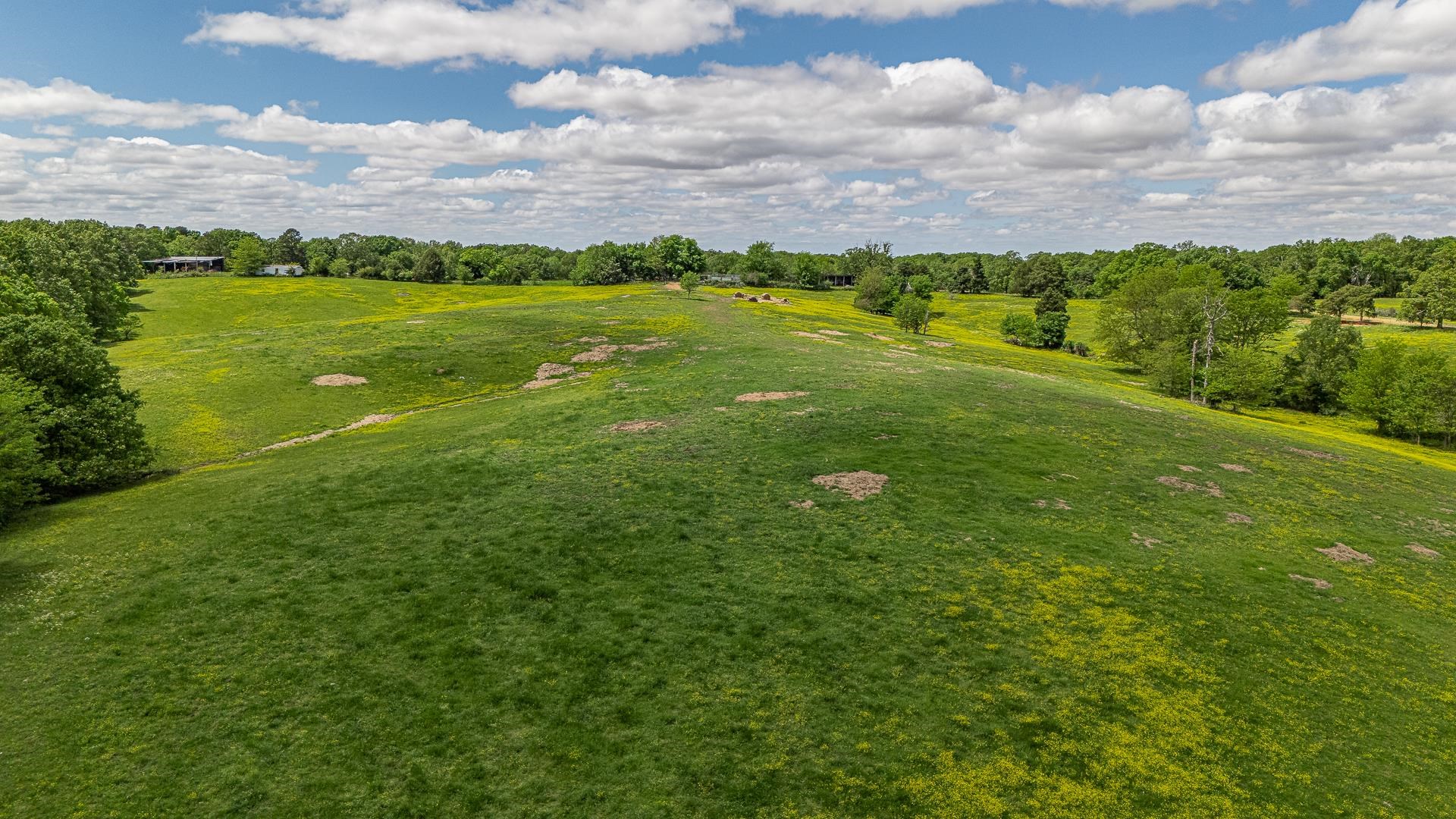 180  Acres +/-  Harrisburg, AR
