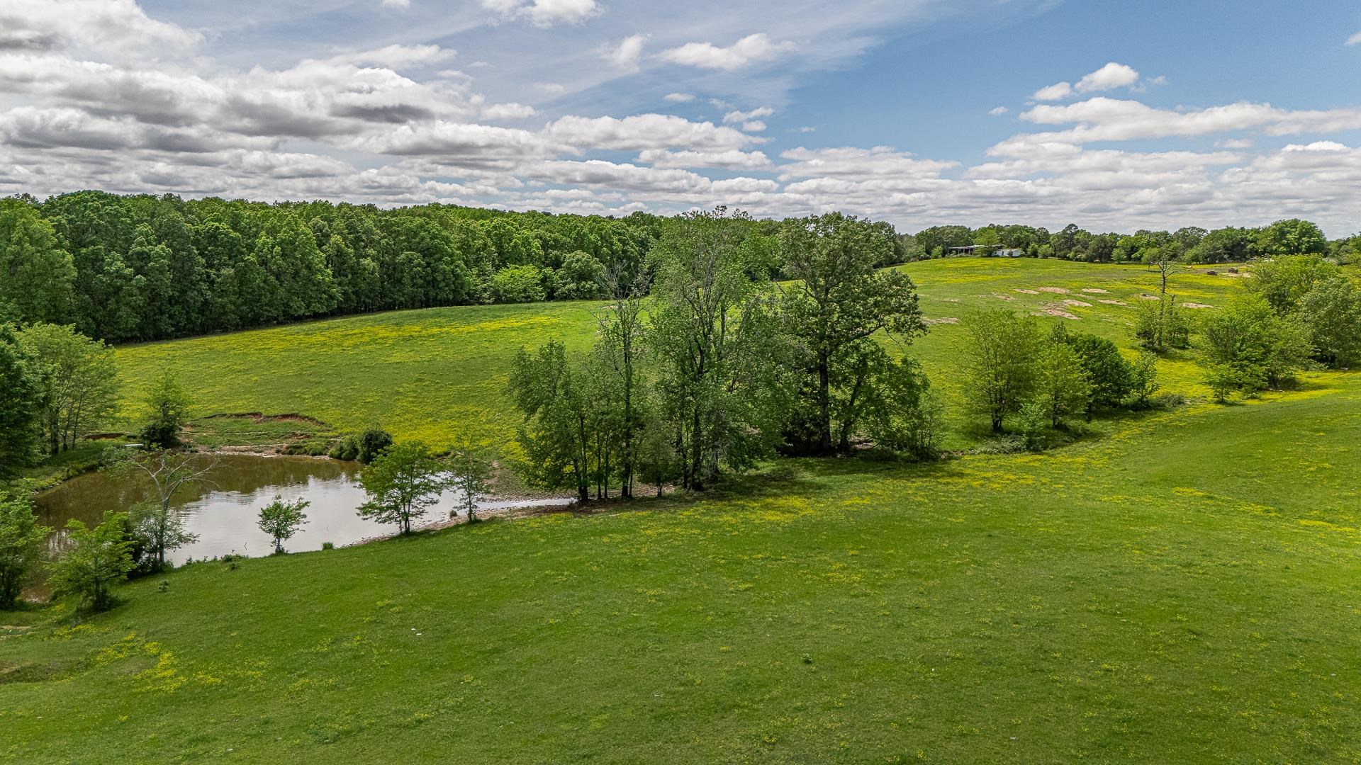 180  Acres +/-  Harrisburg, AR