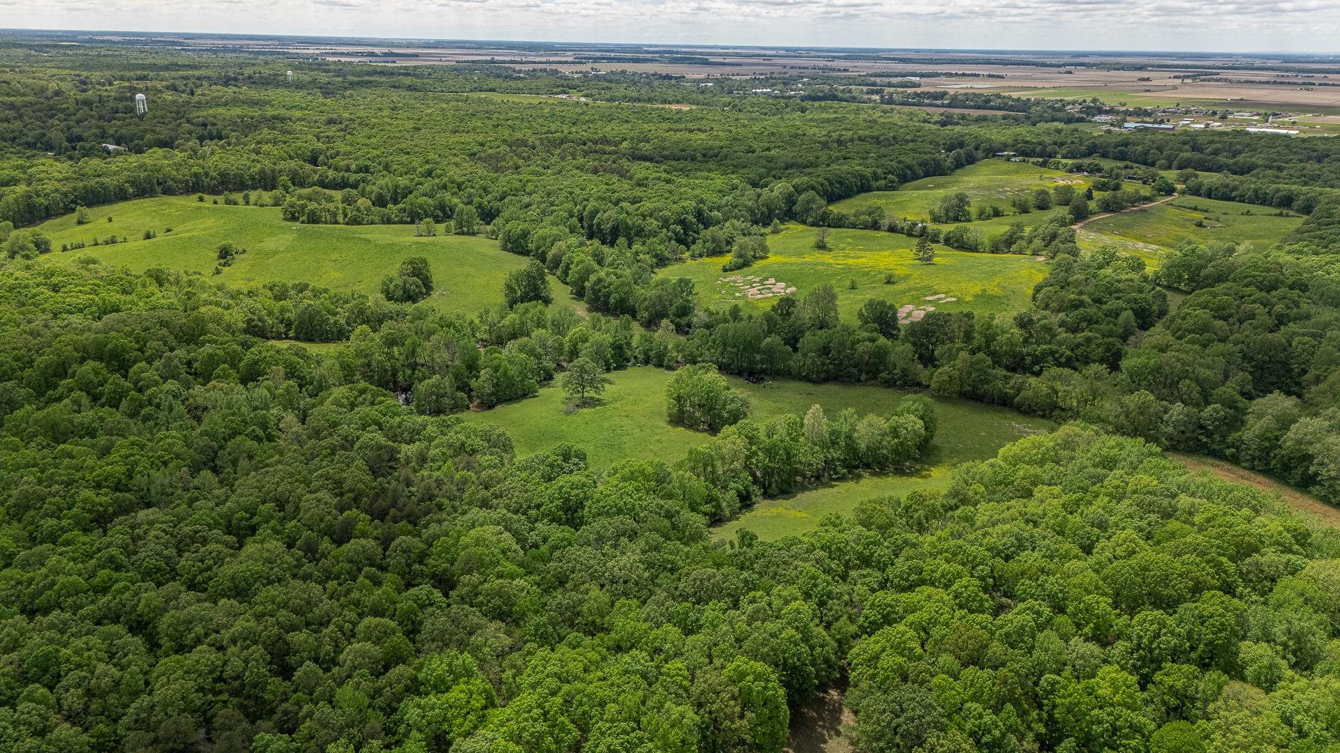 180  Acres +/-  Harrisburg, AR
