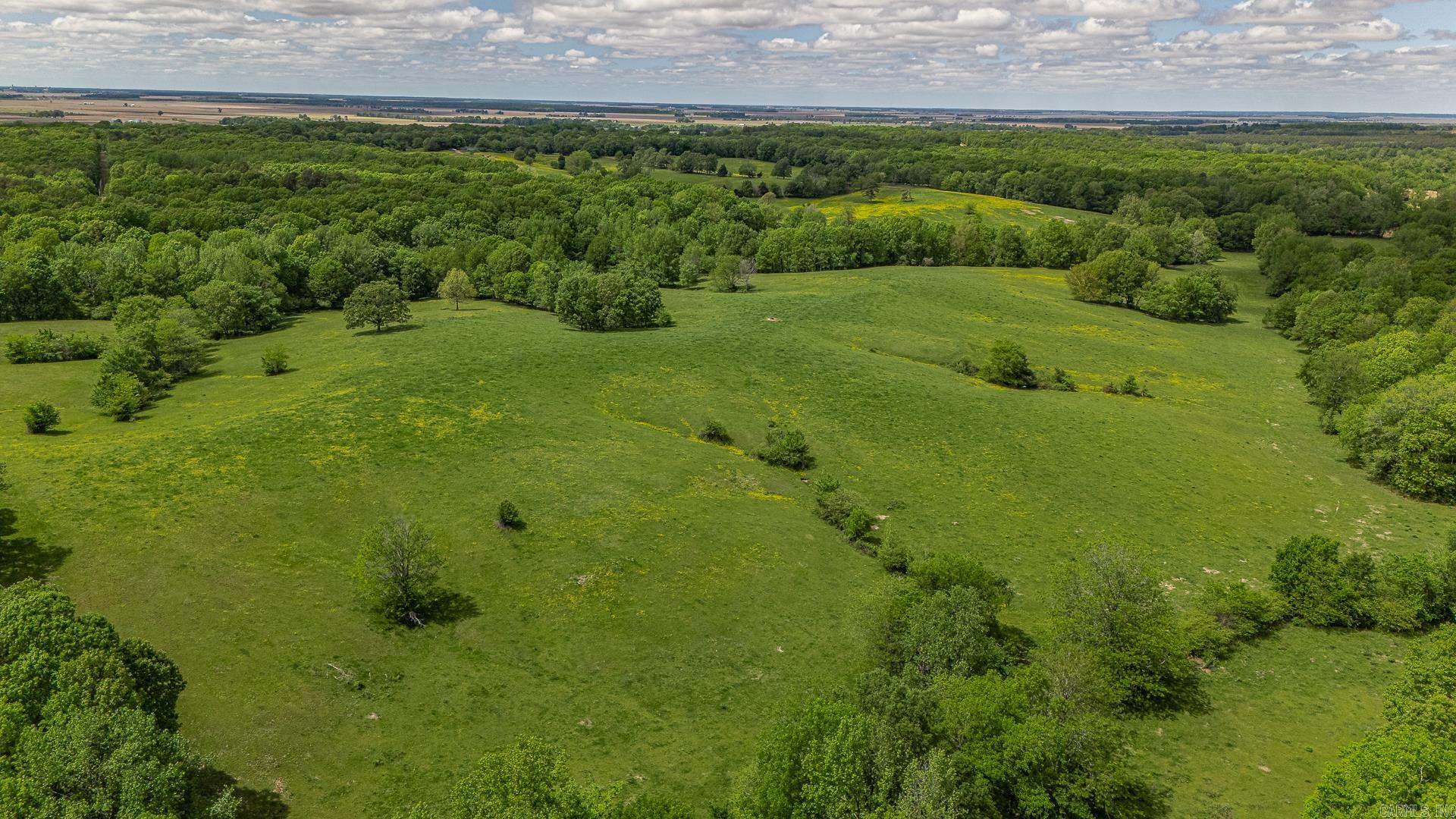 180 Acres +/-  Harrisburg, AR