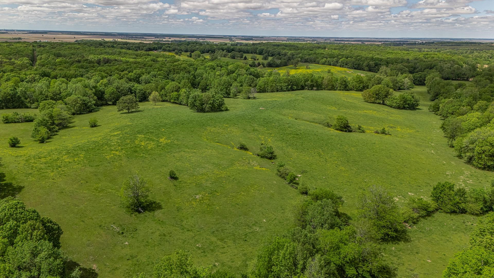 180  Acres +/-  Harrisburg, AR