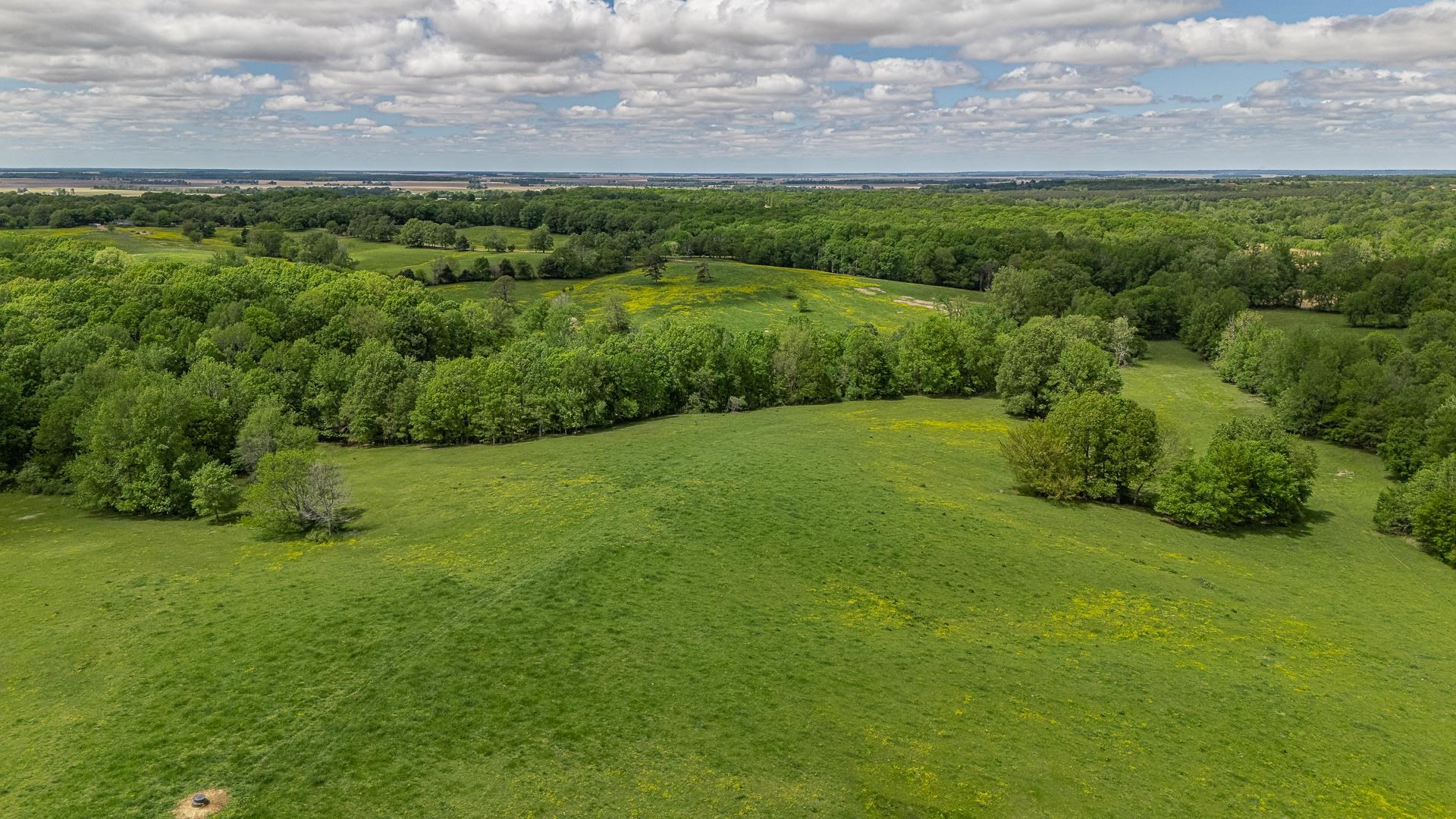180  Acres +/-  Harrisburg, AR