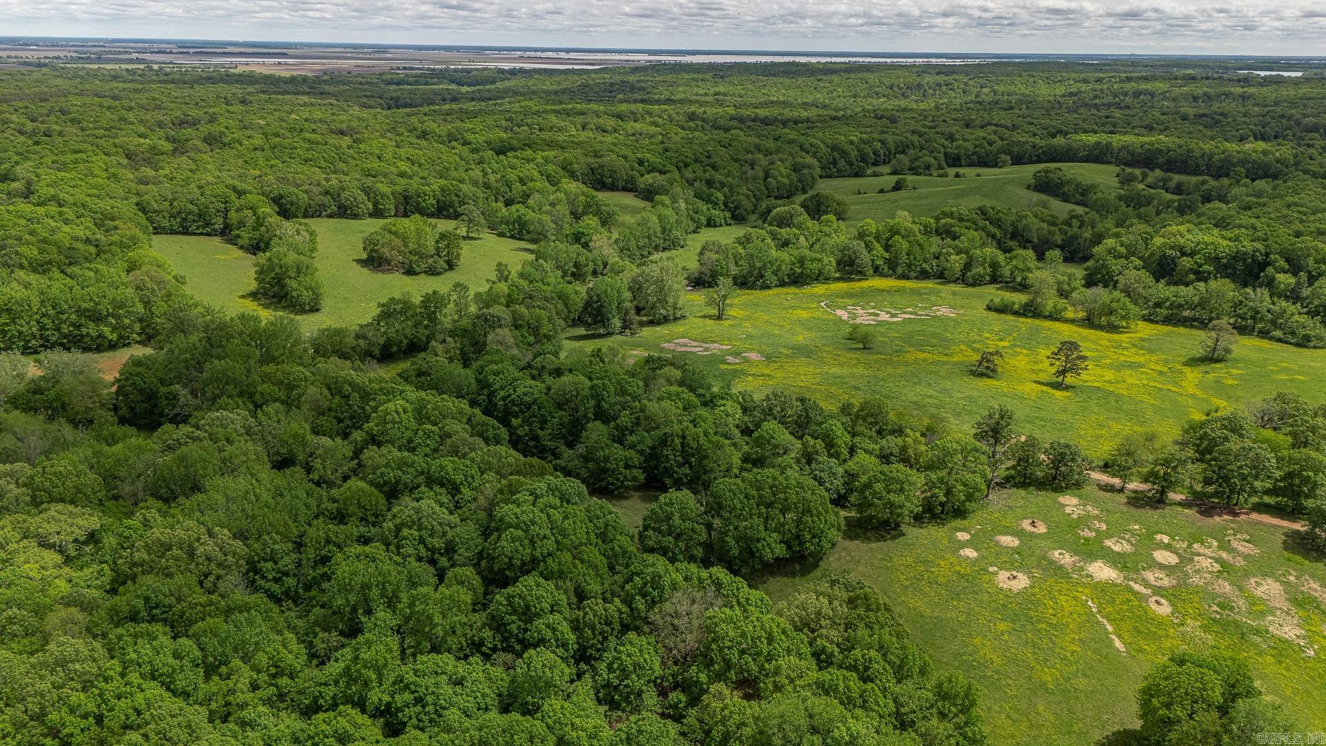 180 Acres +/-  Harrisburg, AR