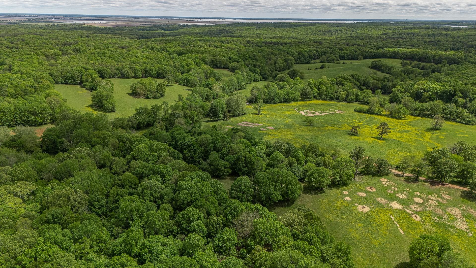 180  Acres +/-  Harrisburg, AR
