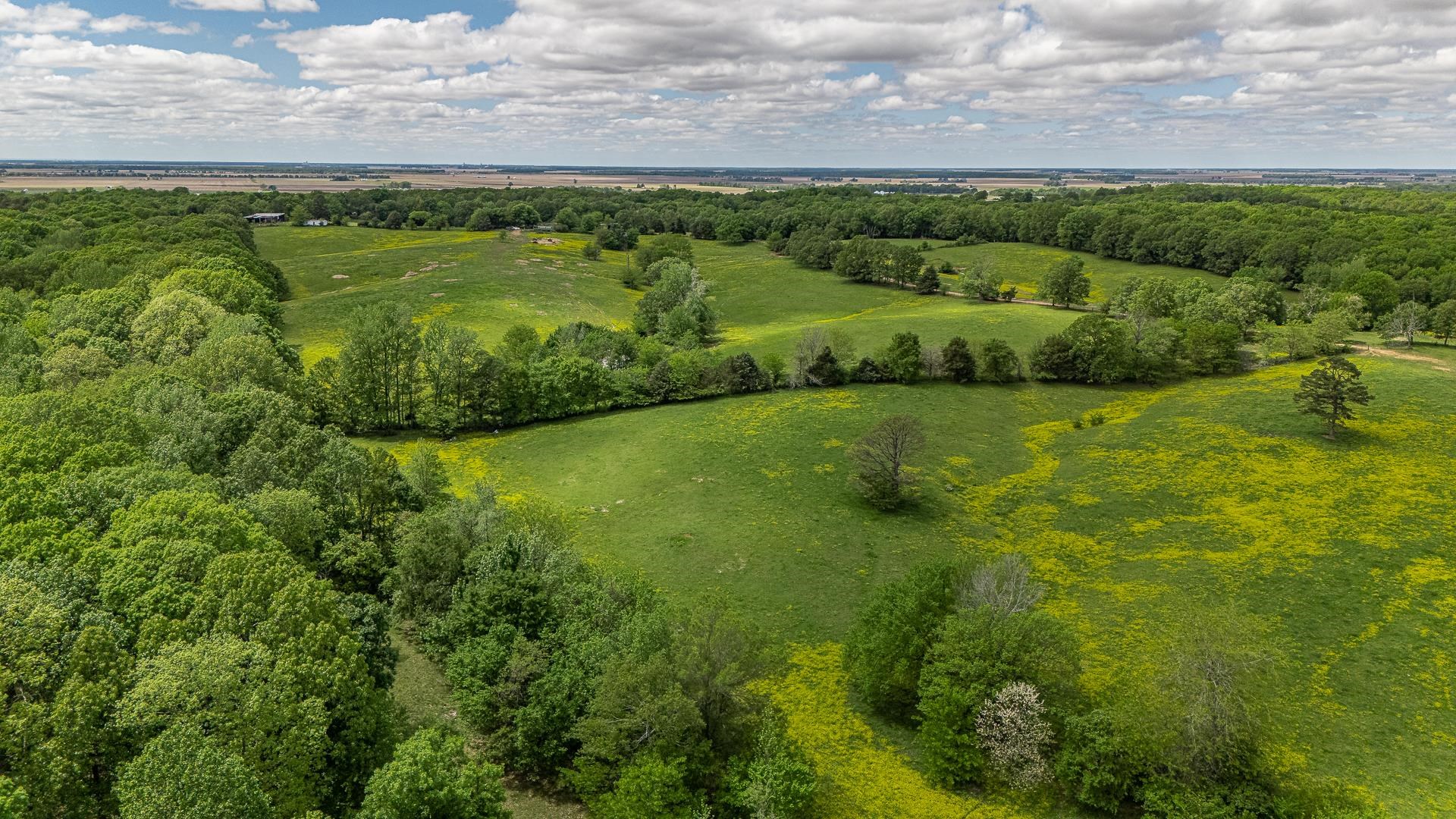 180  Acres +/-  Harrisburg, AR