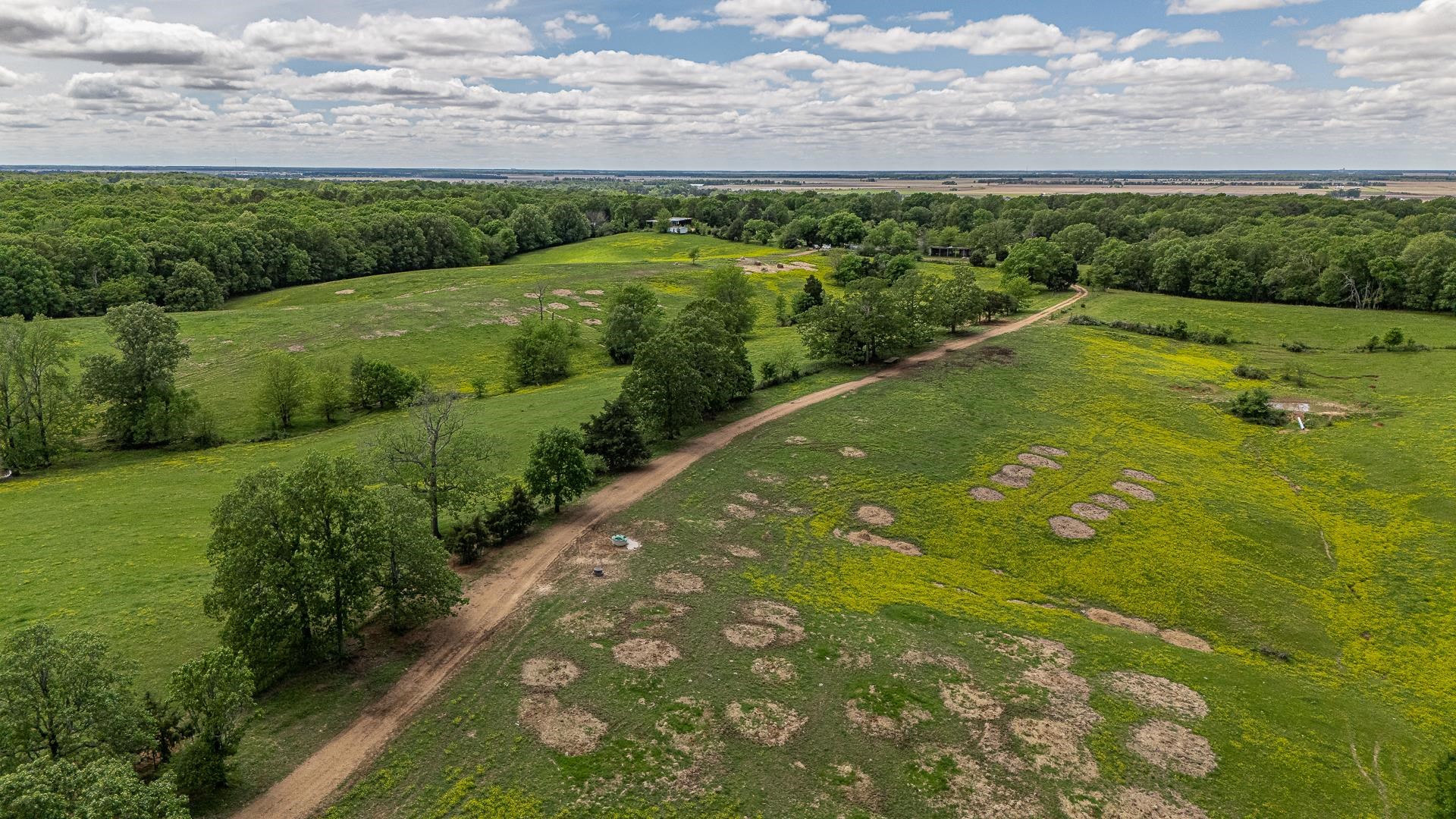 180  Acres +/-  Harrisburg, AR