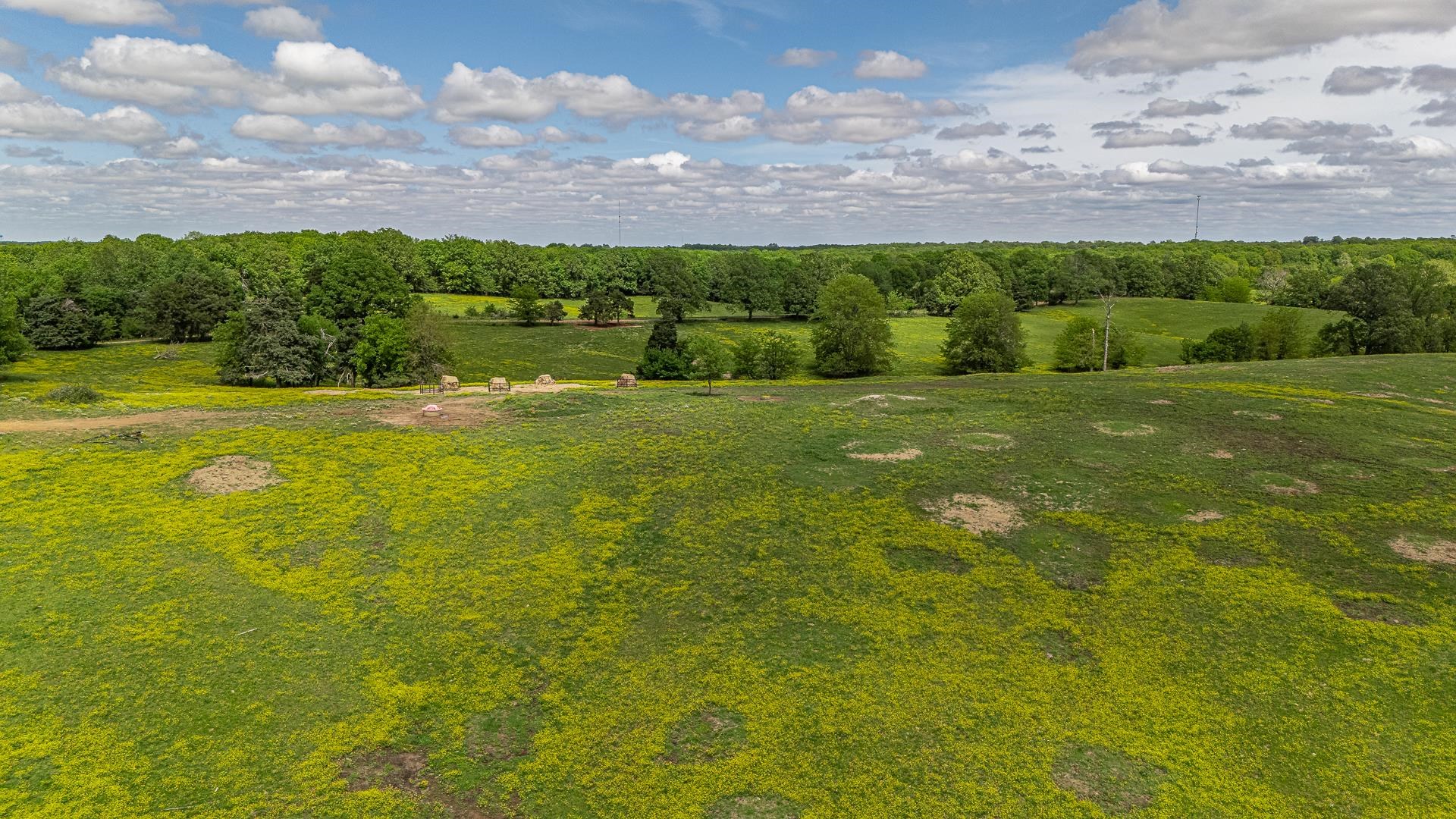 180  Acres +/-  Harrisburg, AR