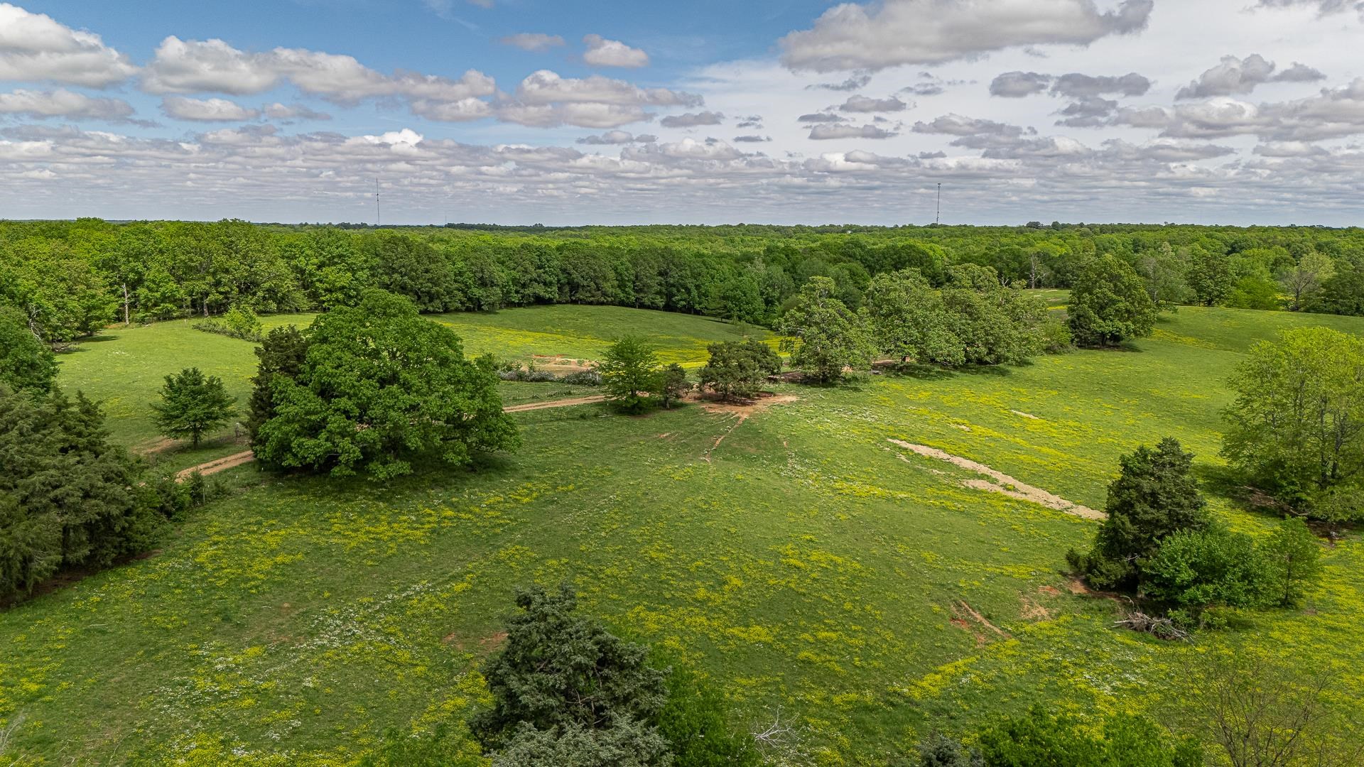 180  Acres +/-  Harrisburg, AR