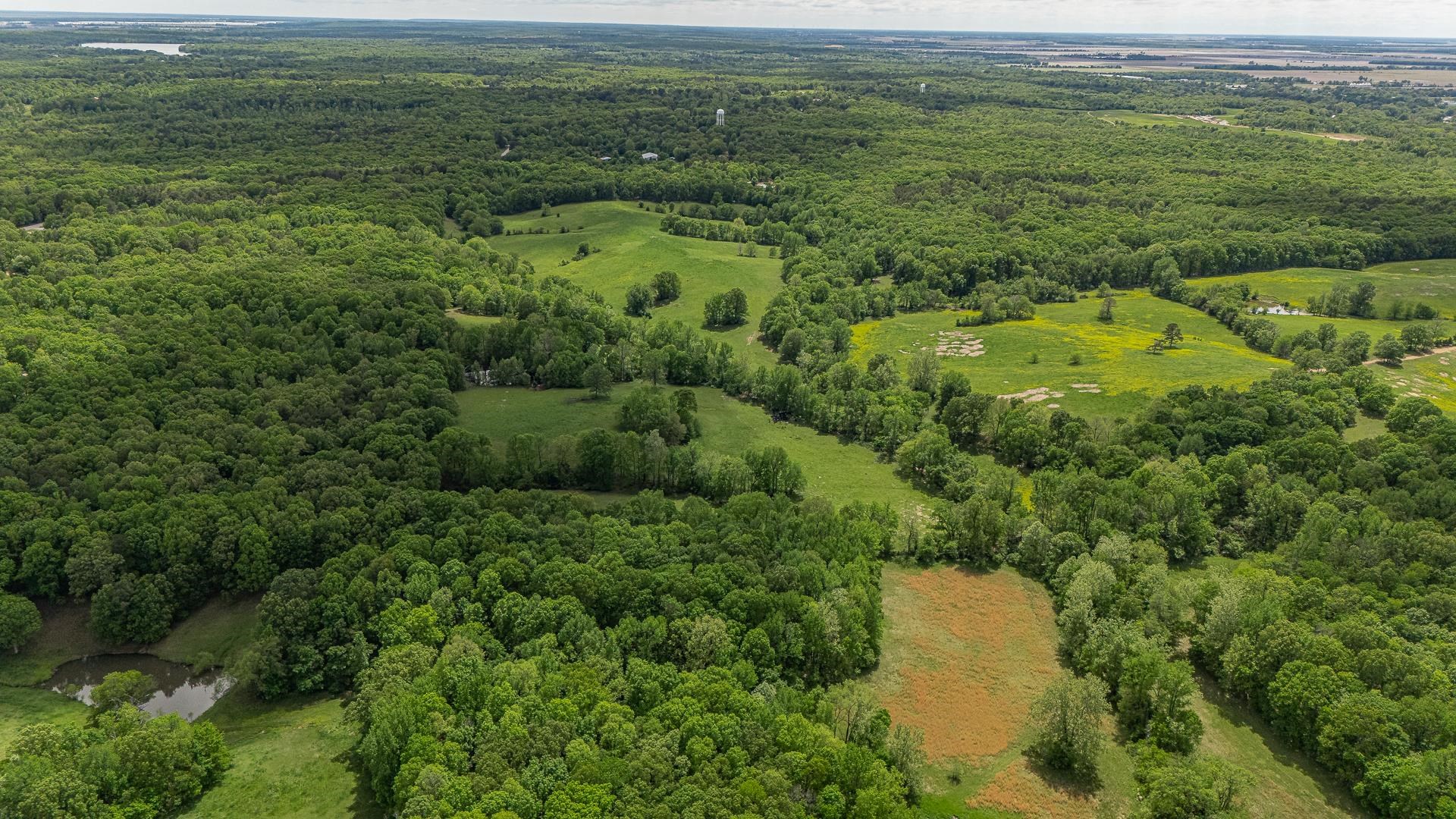 180  Acres +/-  Harrisburg, AR