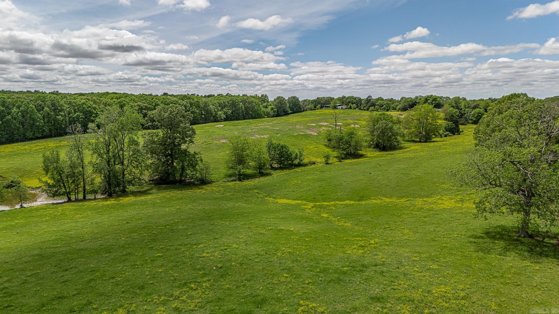 180 Acres +/-  Harrisburg, AR