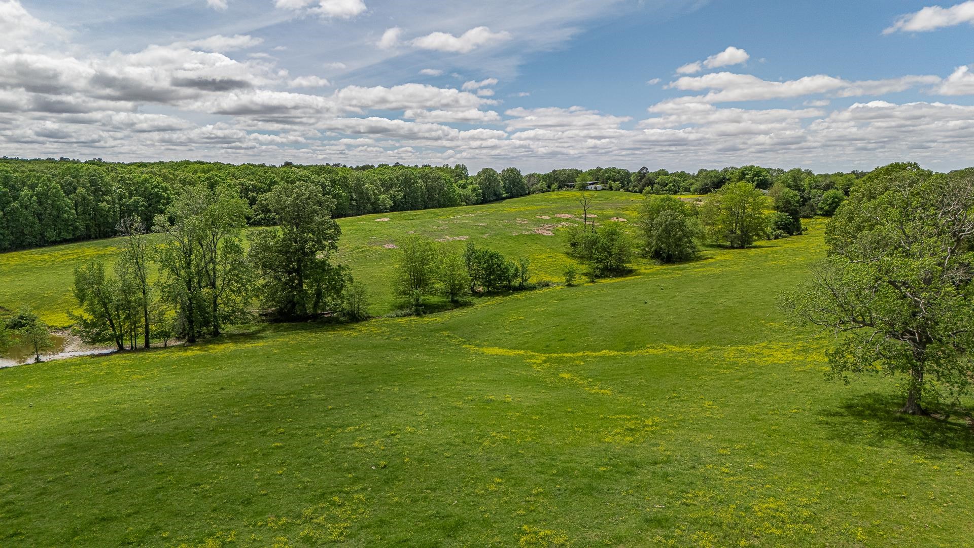 180  Acres +/-  Harrisburg, AR