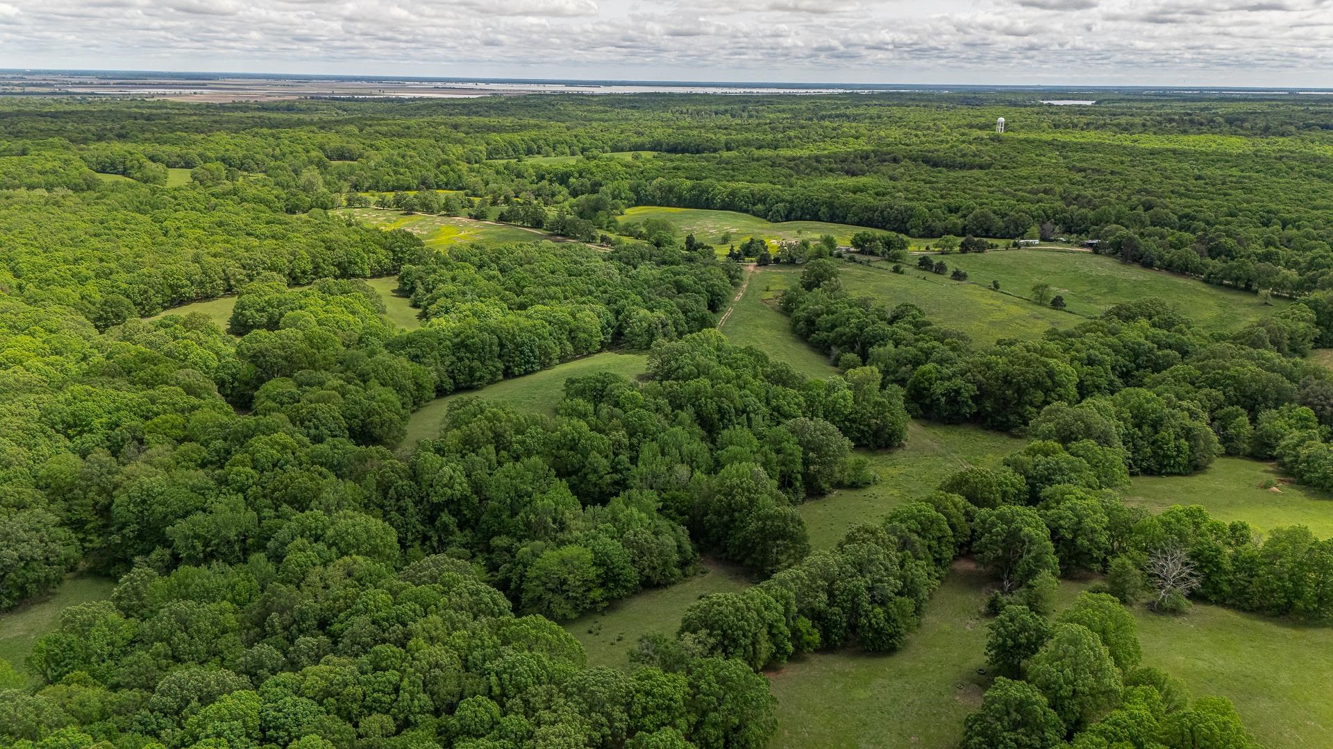 180  Acres +/-  Harrisburg, AR