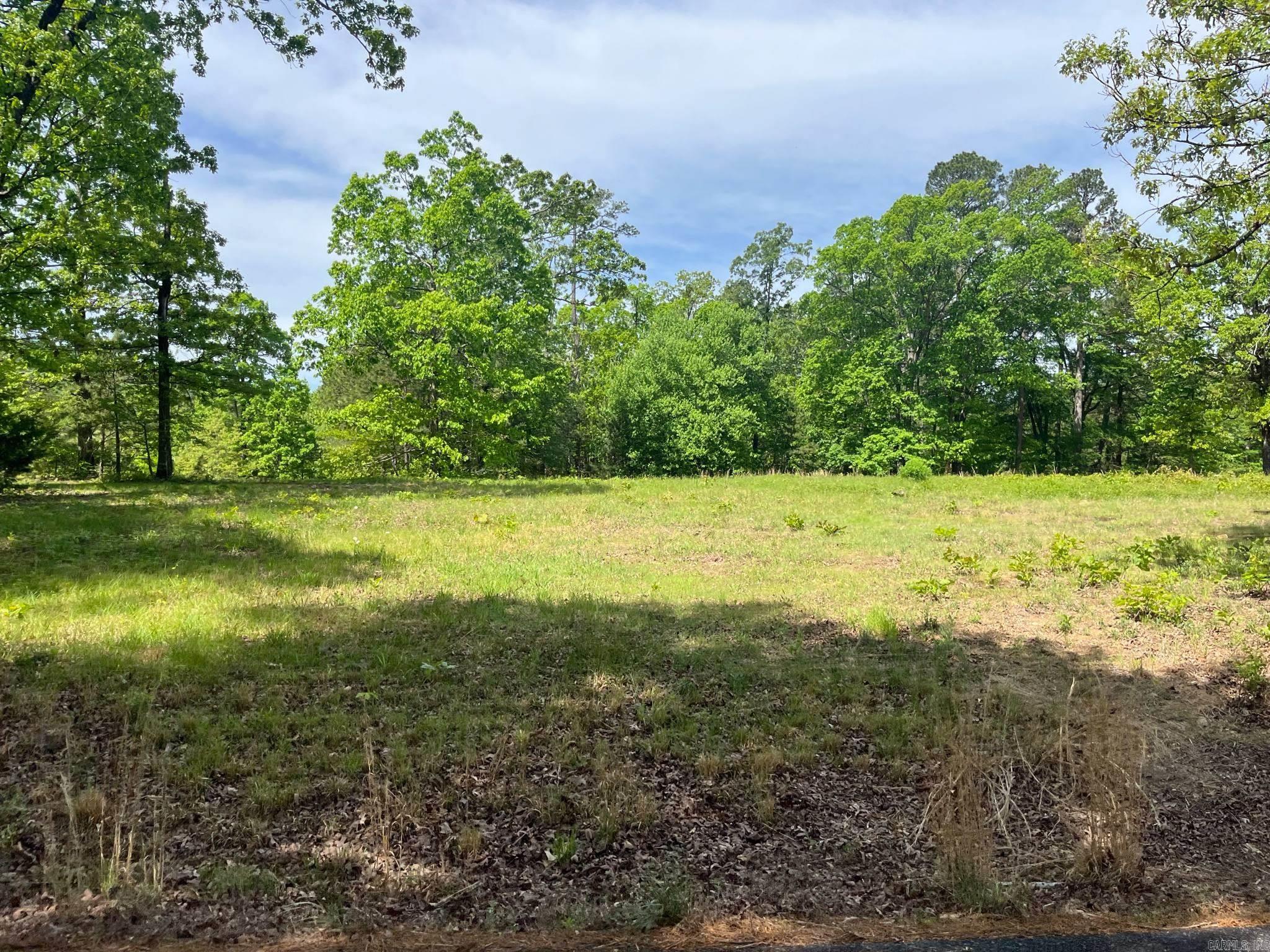 118  Barton Ln.  Mena, AR