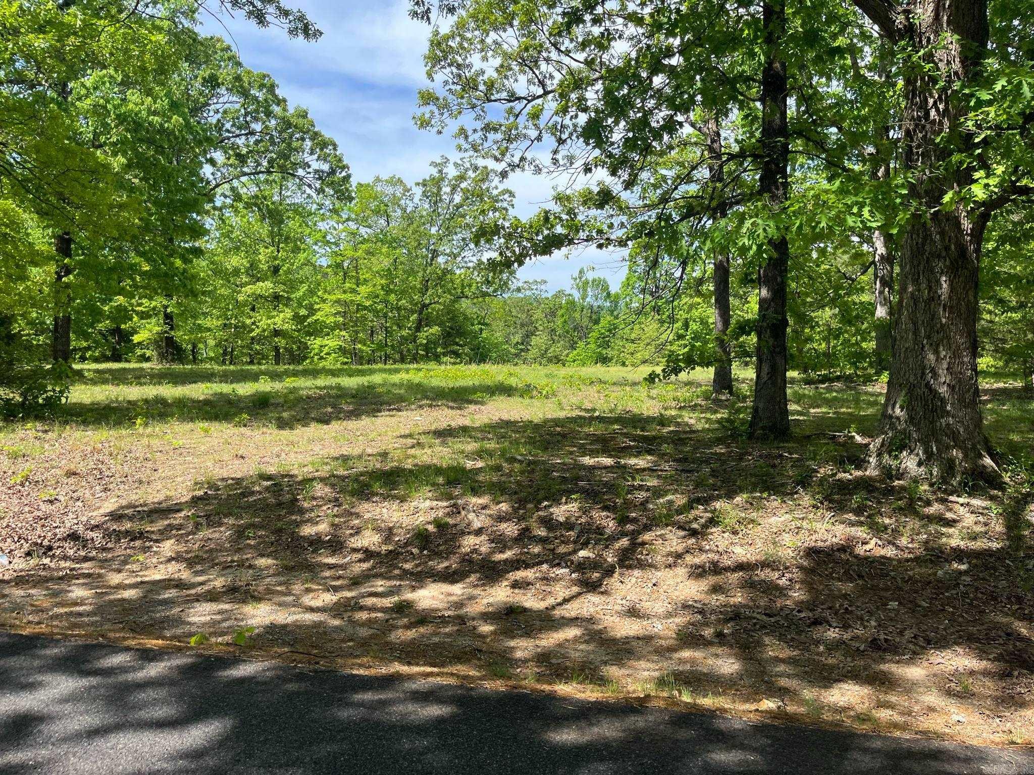 118  Barton Ln.  Mena, AR