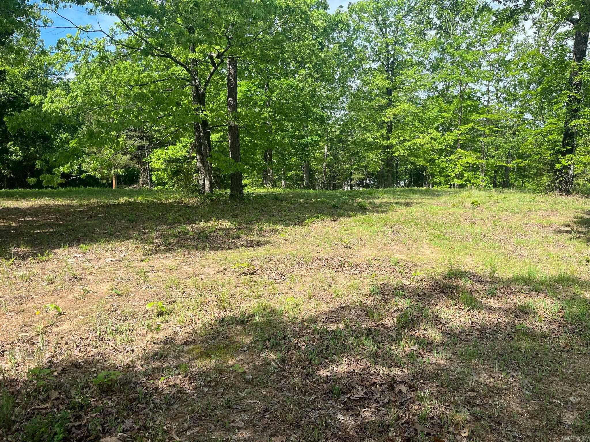 118  Barton Ln.  Mena, AR