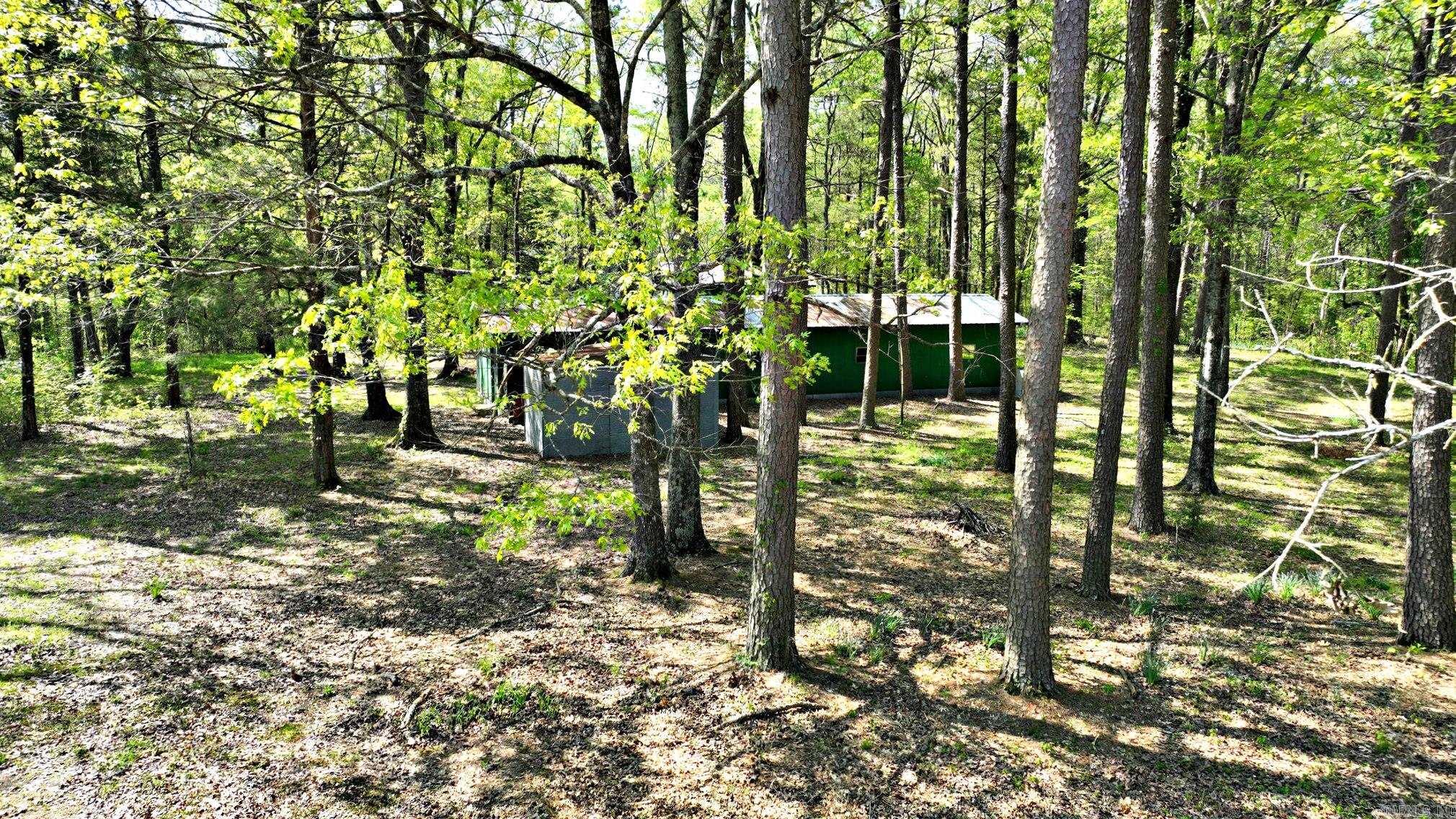 120 Paw Lane Mena, AR 71953
