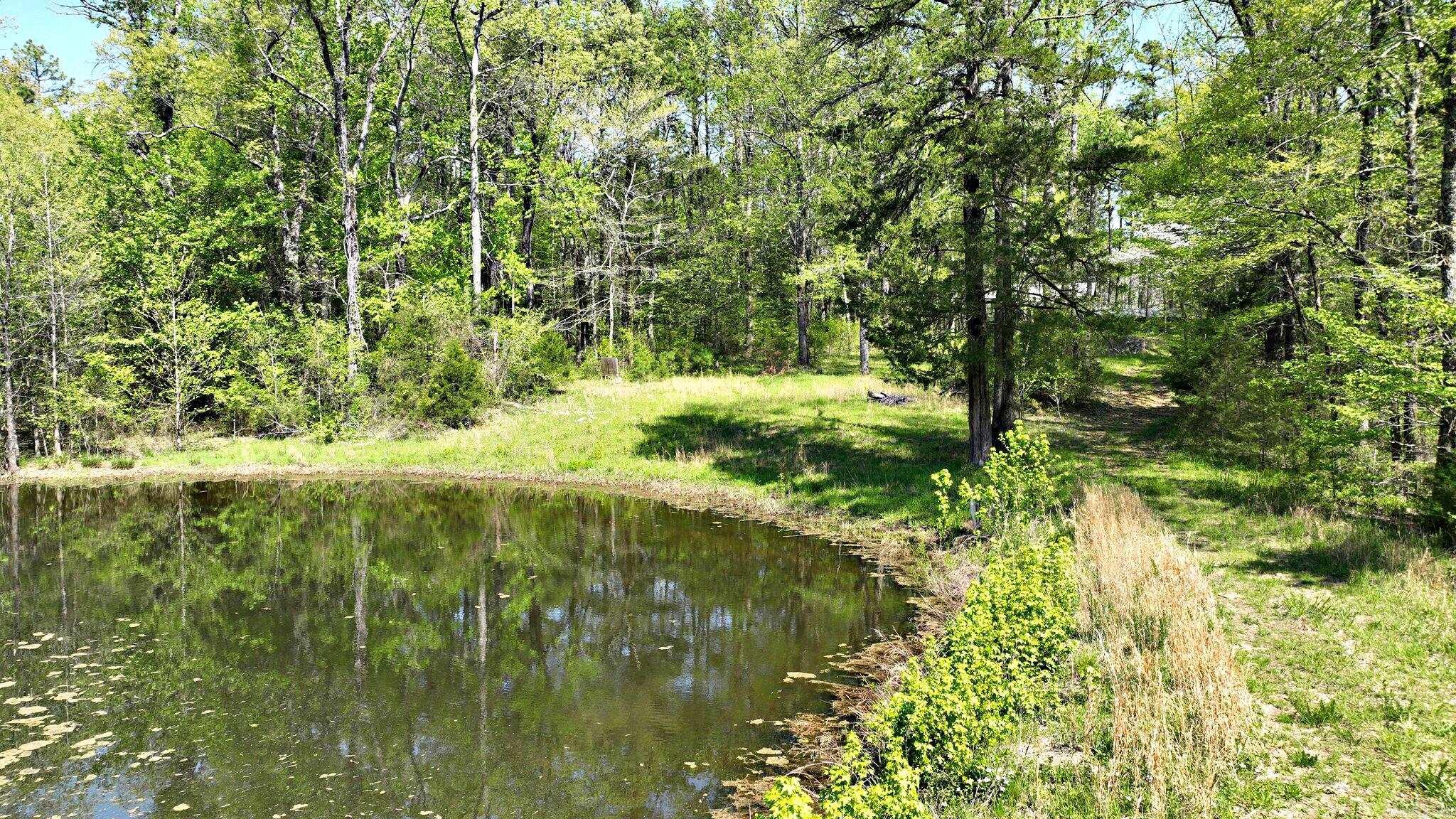 120 Paw Lane Mena, AR 71953