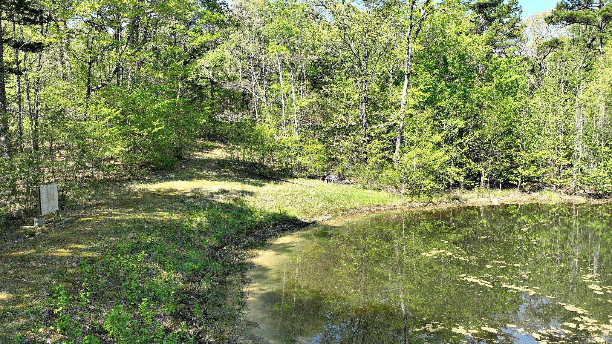 120 Paw Lane Mena, AR 71953