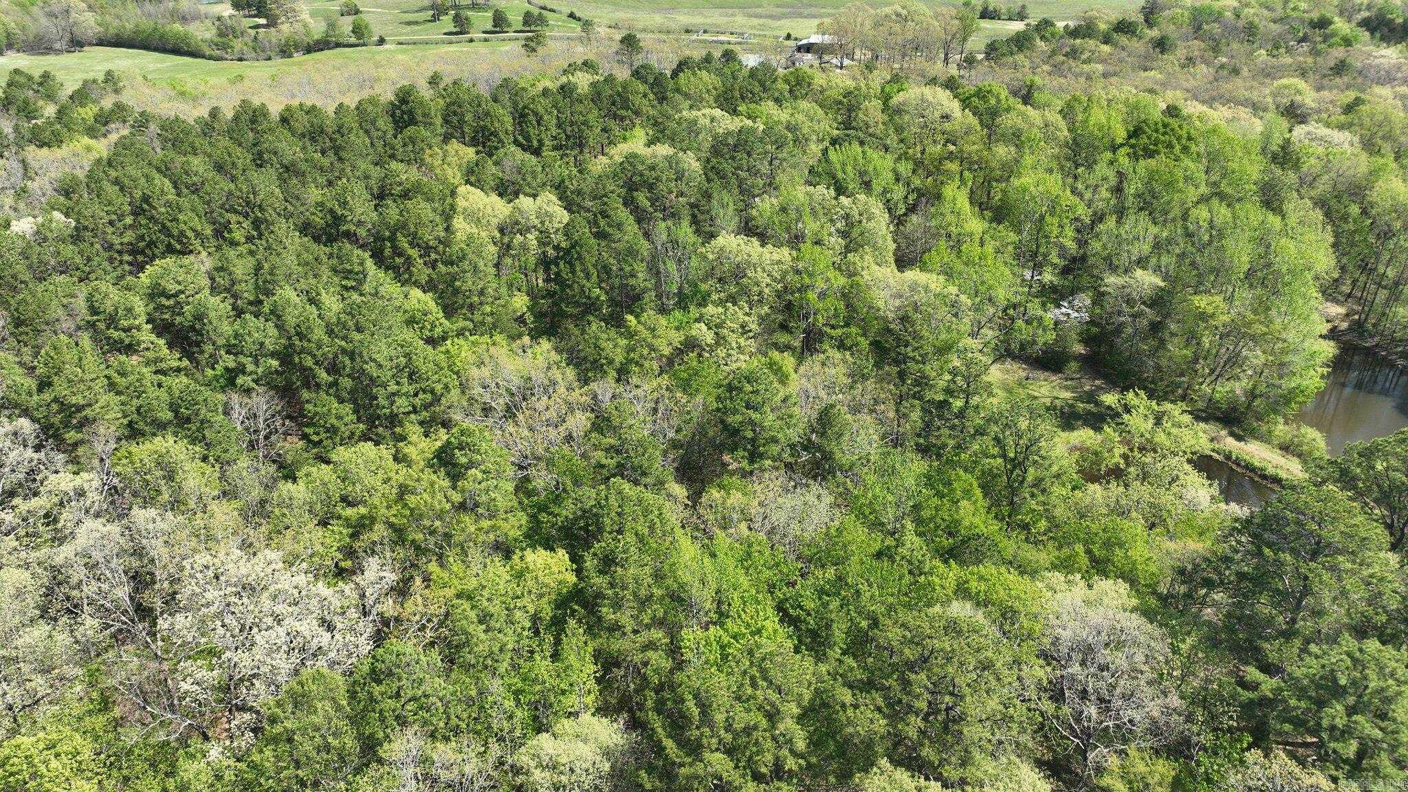 120 Paw Lane Mena, AR 71953