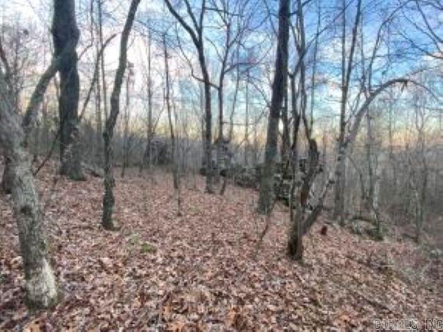   Whiskey Creek  Batesville, AR