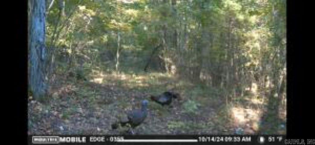   Whiskey Creek  Batesville, AR