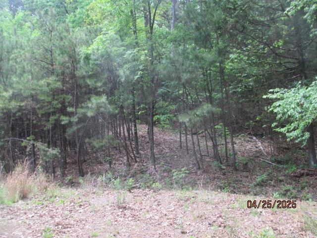 59  Ridgeside Dr  Dover, AR