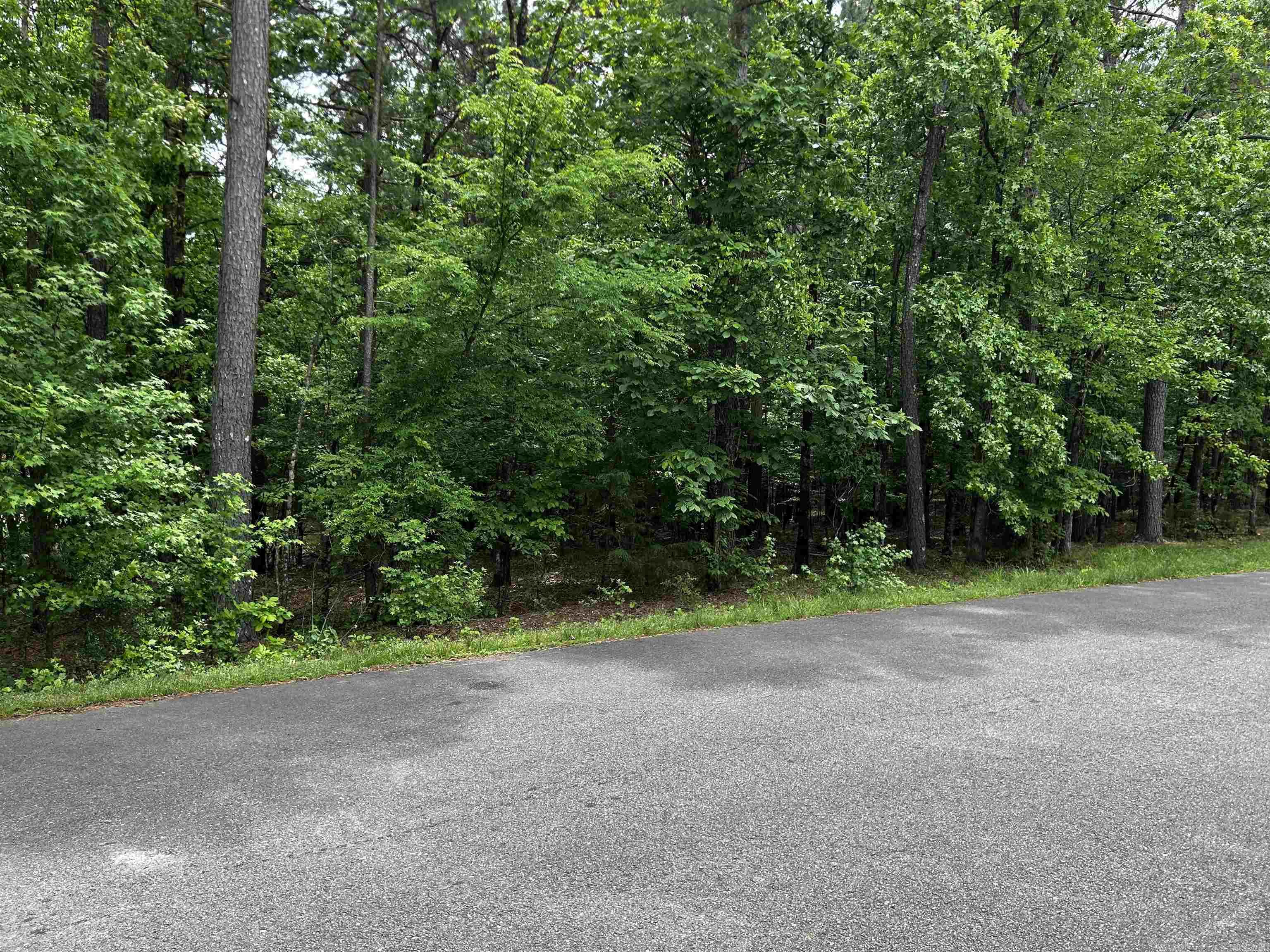 10  Purista Lane  Hot Springs Village, AR
