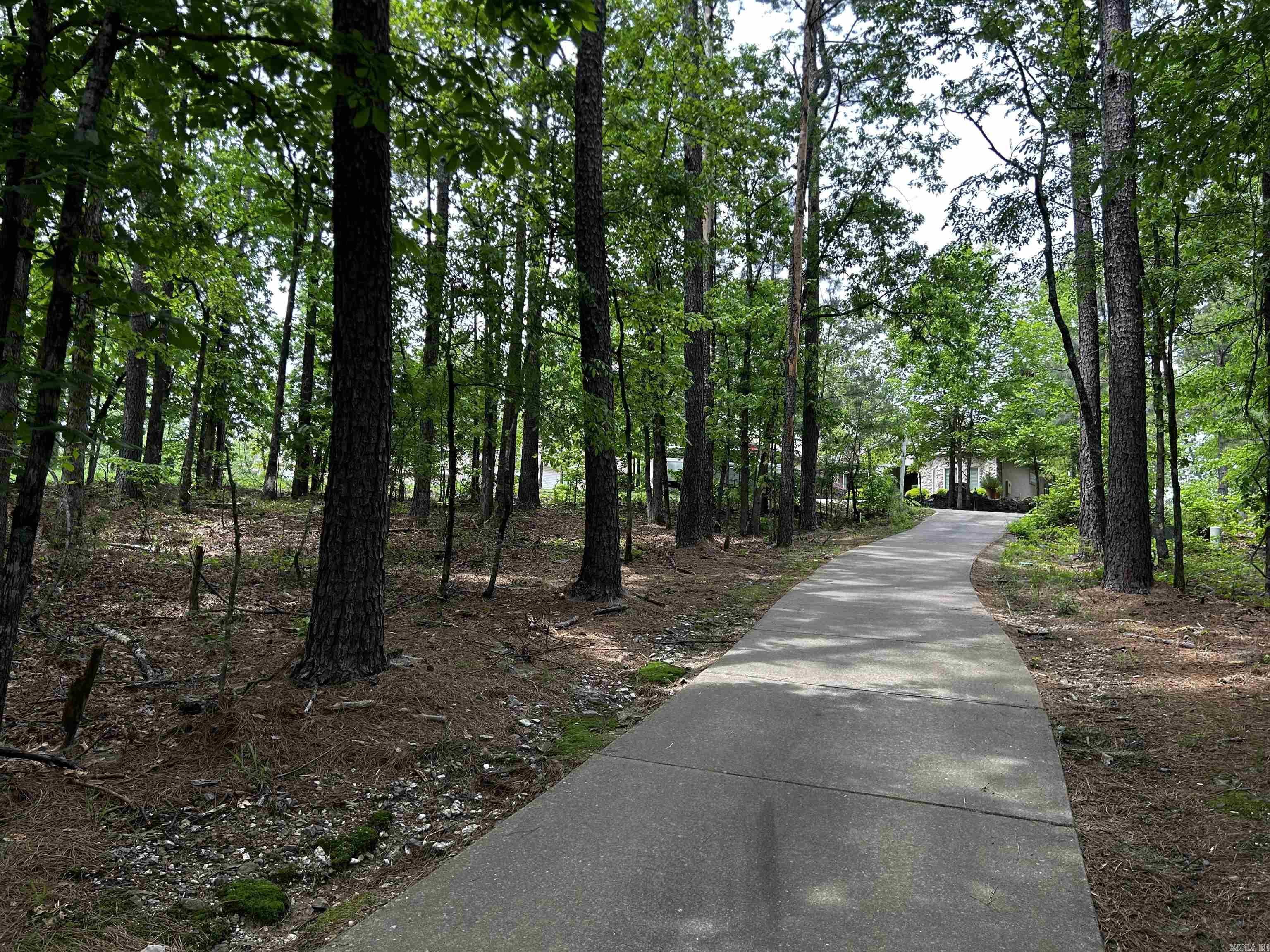 10  Purista Lane  Hot Springs Village, AR