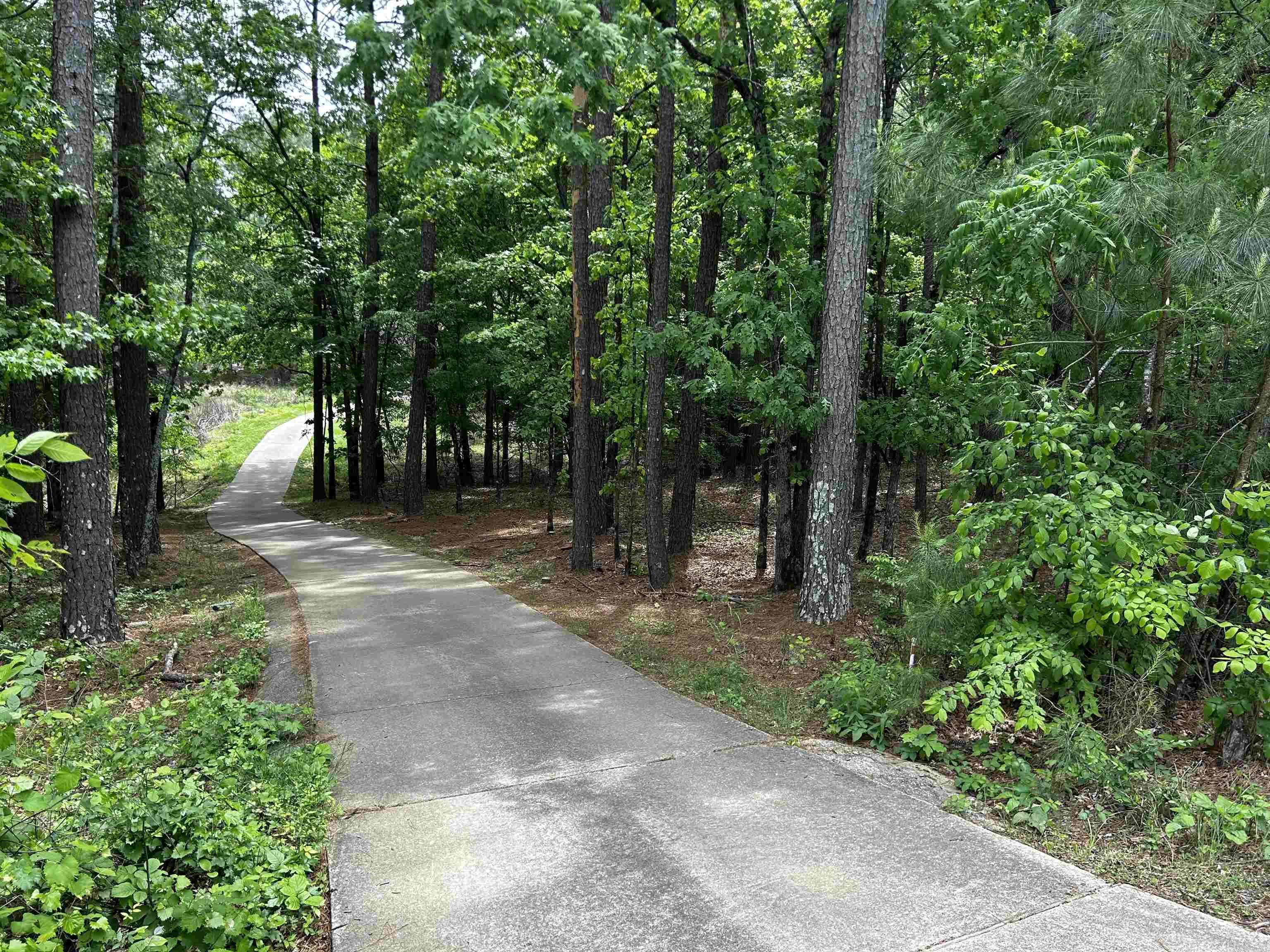 10  Purista Lane  Hot Springs Village, AR